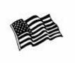 Free Flag