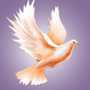 dove1