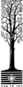 hebrew tree